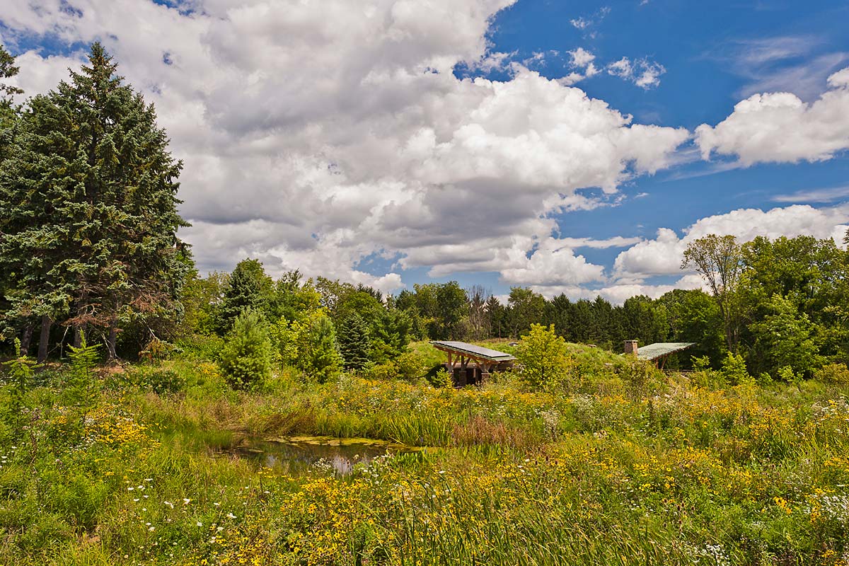 sieberling-nature-center-meadow