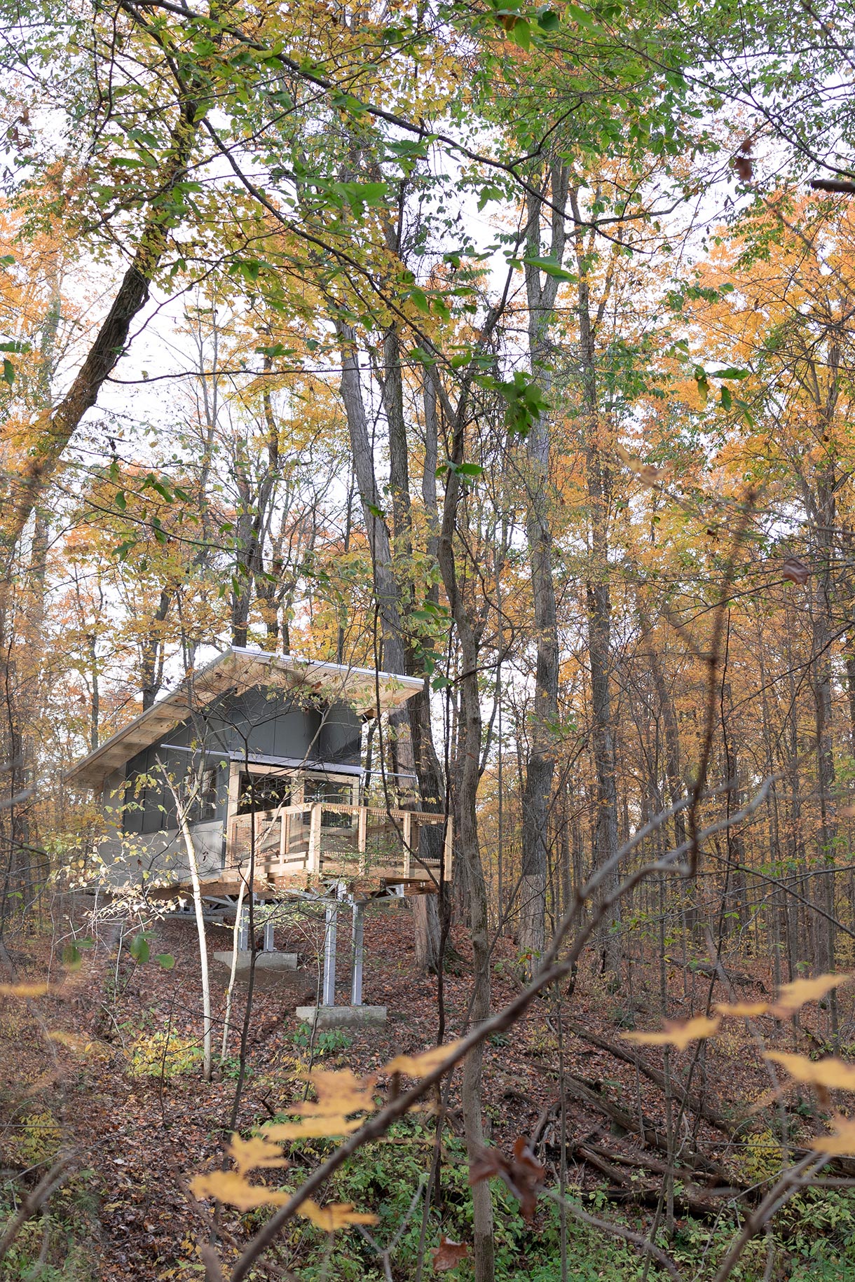 tree-house-deck
