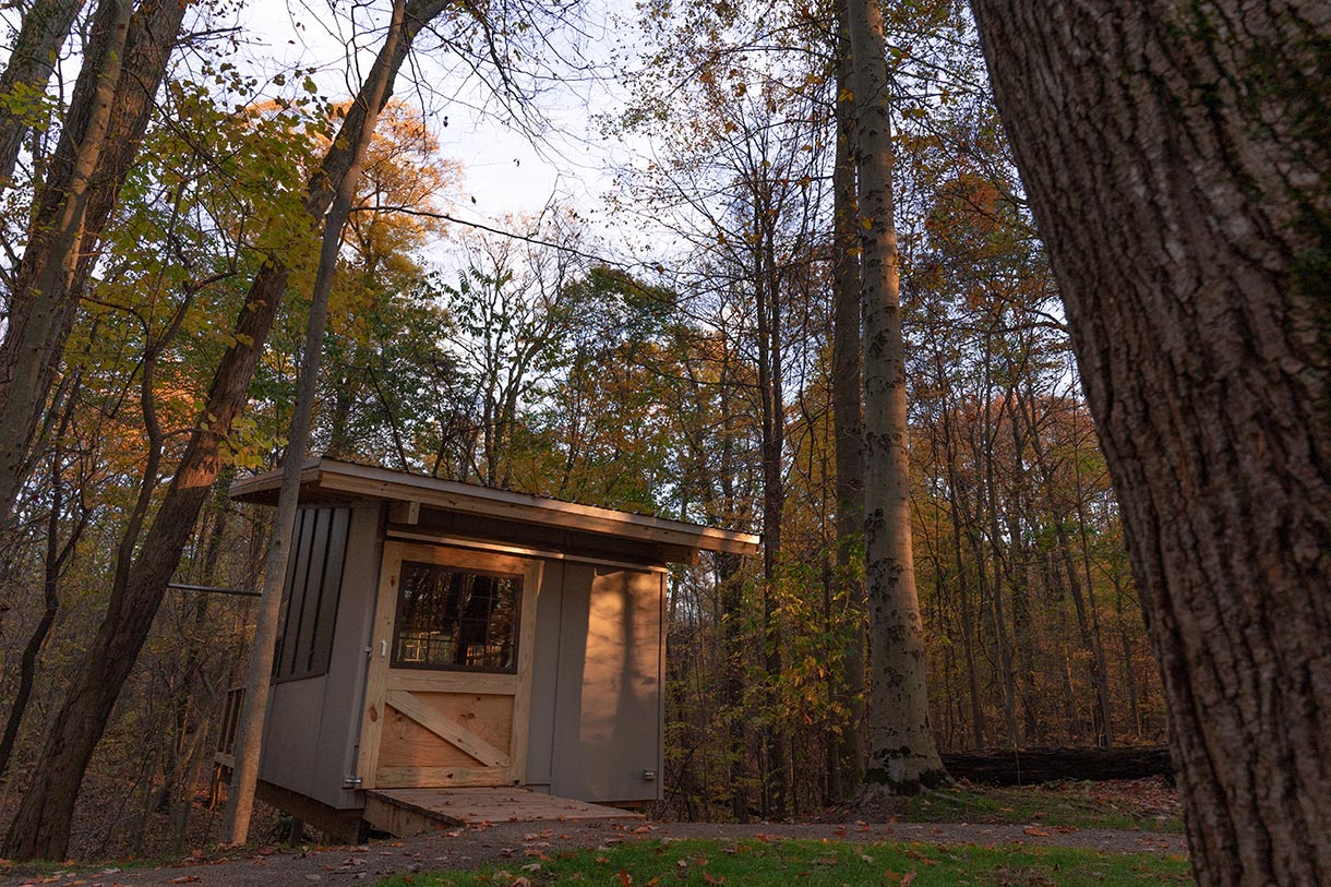 tree-house-entrance-closeup