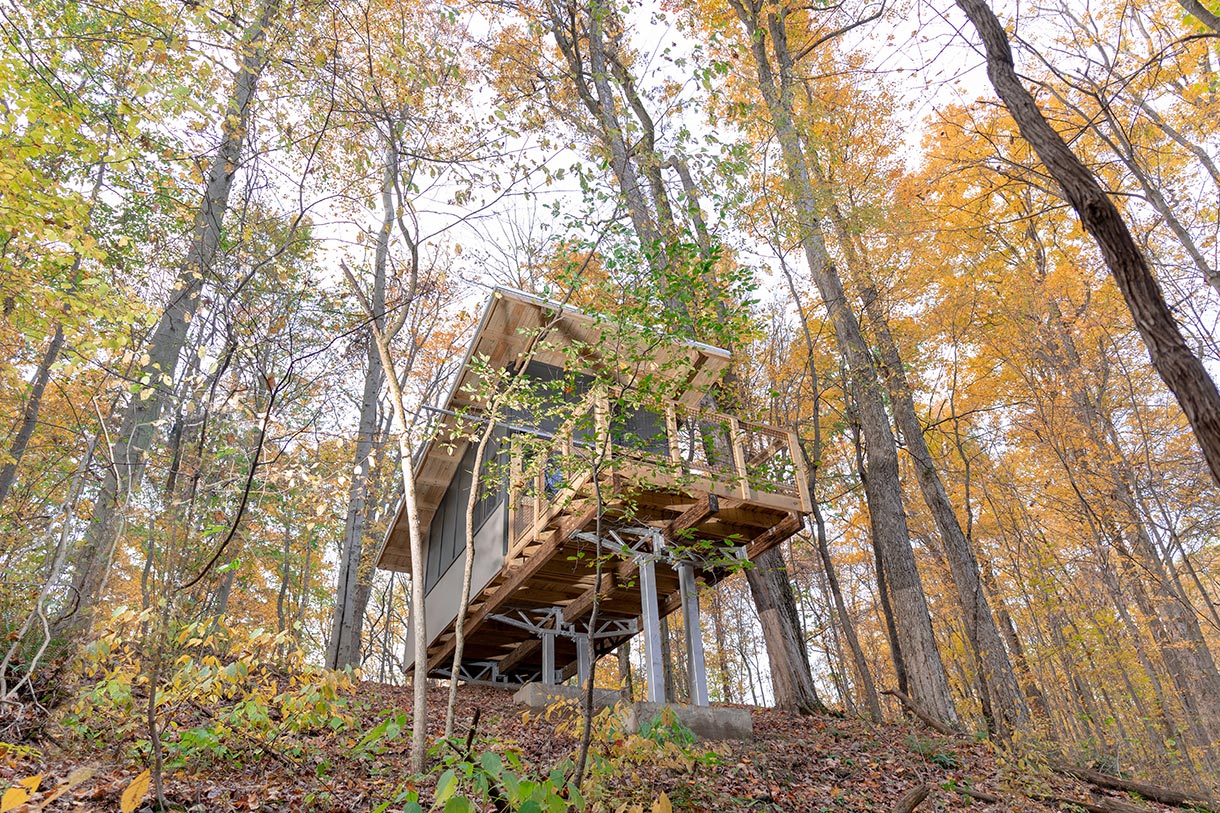 tree-house-from-below-closeup