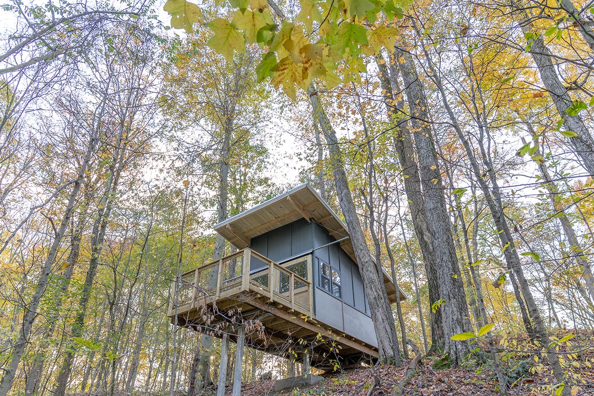 tree-house-from-below