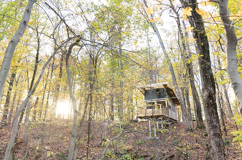 Tree House