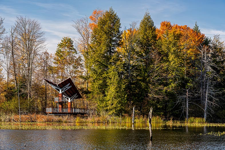 Blue Heron Preserve